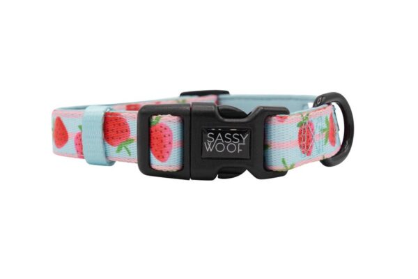 Sassy Woof 'I Woof You Berry Much' Strawberry Print Dog Collar