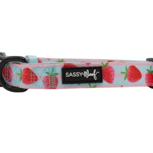 Sassy Woof 'I Woof You Berry Much' Strawberry Print Dog Collar