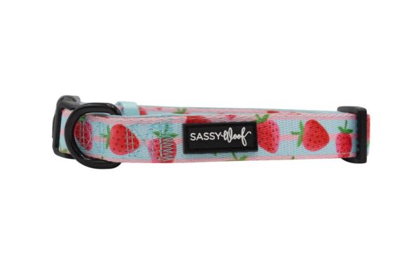 Sassy Woof 'I Woof You Berry Much' Strawberry Print Dog Collar