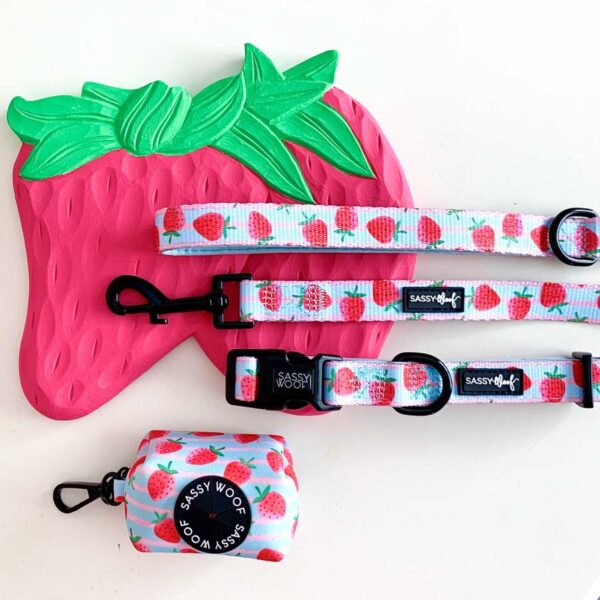 Sassy Woof 'I Woof You Berry Much' Strawberry Print Dog Collar