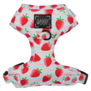 Sassy Woof 'I Woof You Berry Much' Strawberry Print Adjustable Dog Harness