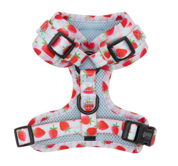 Sassy Woof 'I Woof You Berry Much' Strawberry Print Adjustable Dog Harness