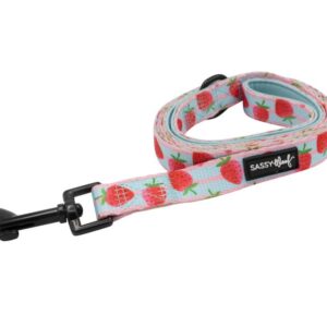 Sassy Woof 'I Woof You Berry Much' Strawberry Print Dog Lead