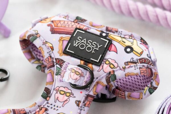 Sassy Woof 'The One With The Sassiest Woof' Friend's Themed Purple Adjustable Dog Harness