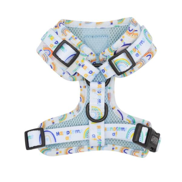 Sassy Woof 'Handsome AF' Adjustable Dog Harness