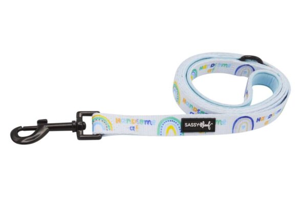 Sassy Woof 'Handsome AF' Dog Lead