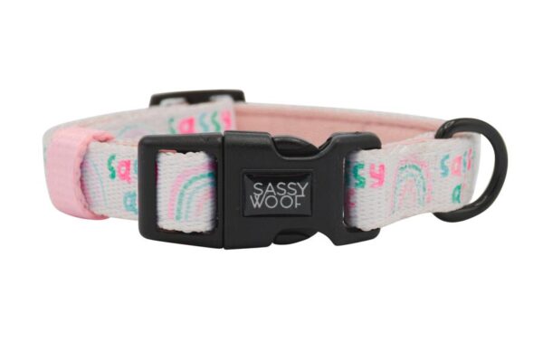 Sassy Woof 'Sassy AF' Adjustable Dog Collar