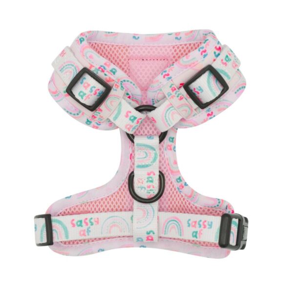 Sassy Woof 'Sassy AF' Rainbow Pink Adjustable Dog Harness