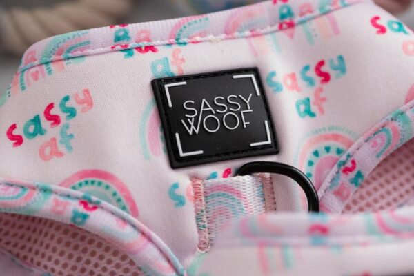 Sassy Woof 'Sassy AF' Rainbow Pink Adjustable Dog Harness