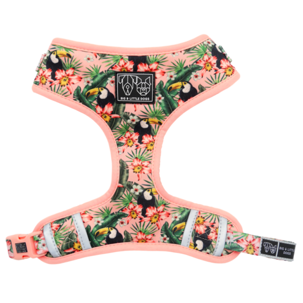 Big & Little Dogs 'Troppo Toucan' tropical floral toucan print adjustable pink dog harness