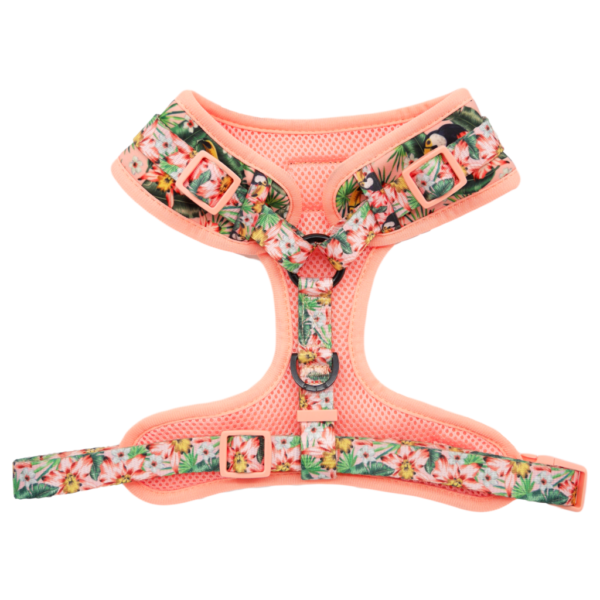 Big & Little Dogs 'Troppo Toucan' tropical floral toucan print adjustable pink dog harness