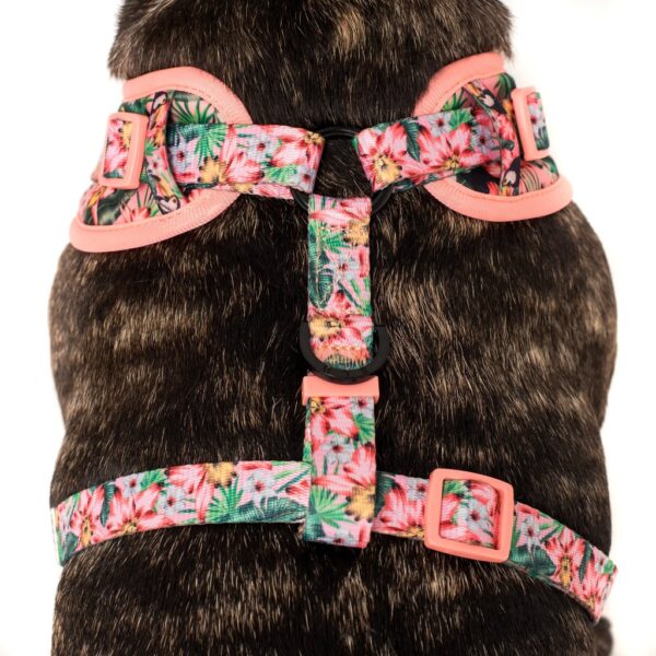 Big & Little Dogs 'Troppo Toucan' tropical floral toucan print adjustable pink dog harness