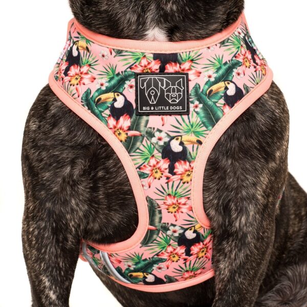 Big & Little Dogs 'Troppo Toucan' tropical floral toucan print adjustable pink dog harness