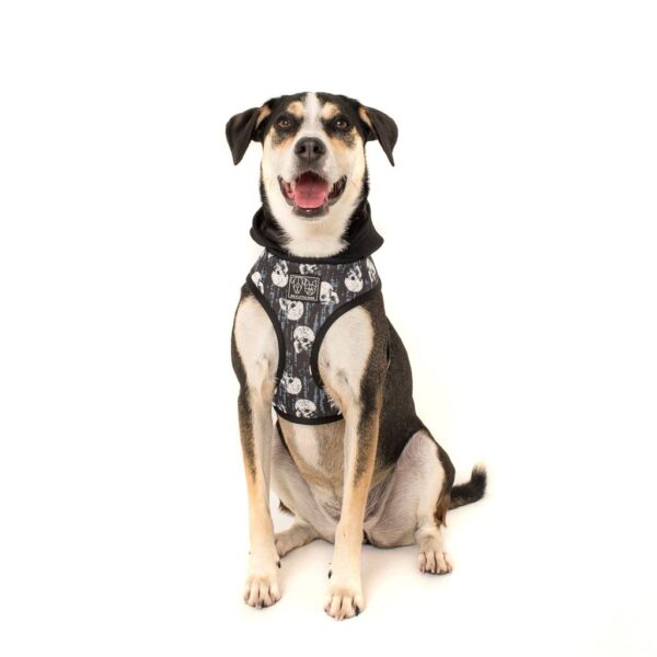 Dog wearing a Big & Little Dogs 'Trouble Maker' Black Skull Print Hoody Dog Harness