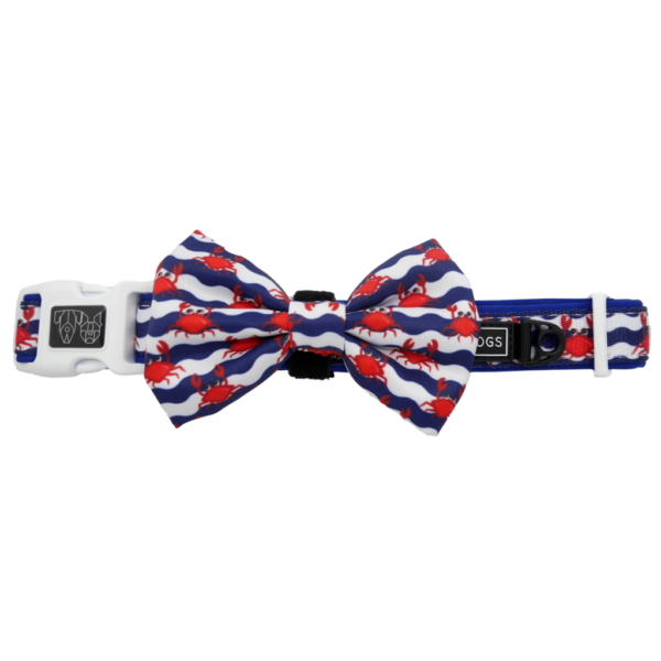 Big & Little Dogs 'Under The Sea' crab print blue Dog Collar and Detachable Bow Tie
