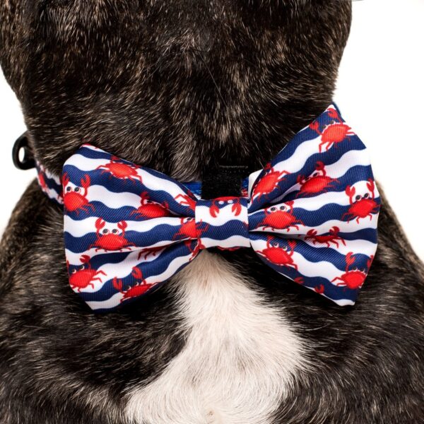 Big & Little Dogs 'Under The Sea' crab print blue Dog Collar and Detachable Bow Tie