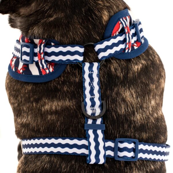 Big & Little Dogs 'Under The Sea' crab print adjustable blue dog harness