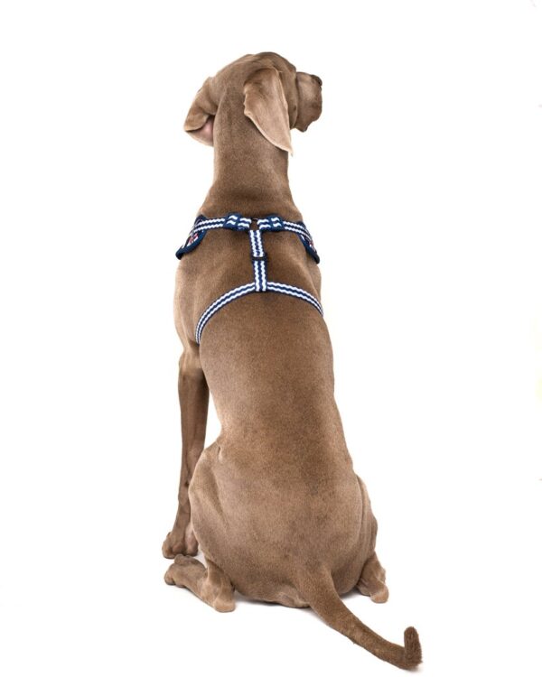 Big & Little Dogs 'Under The Sea' crab print adjustable blue dog harness