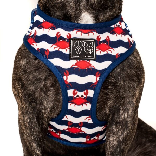 Big & Little Dogs 'Under The Sea' crab print adjustable blue dog harness