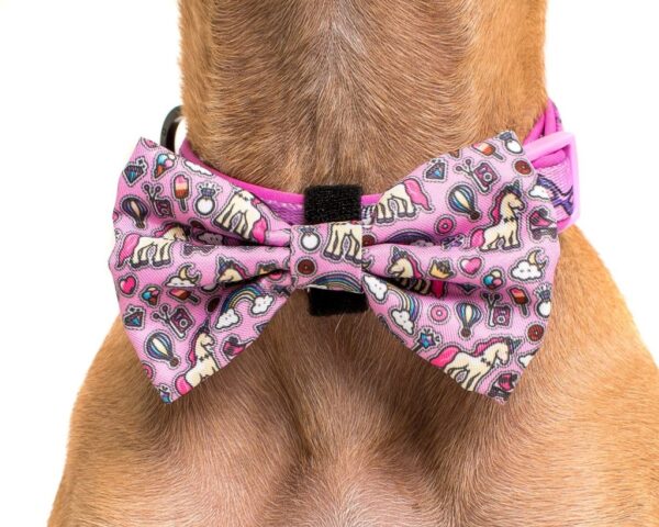 Big & Little Dogs 'One of a Kind' Unicorn and Rainbow Print Dog Collar and Detachable Bow Tie