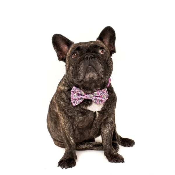 Big & Little Dogs 'One of a Kind' Unicorn and Rainbow Print Dog Collar and Detachable Bow Tie