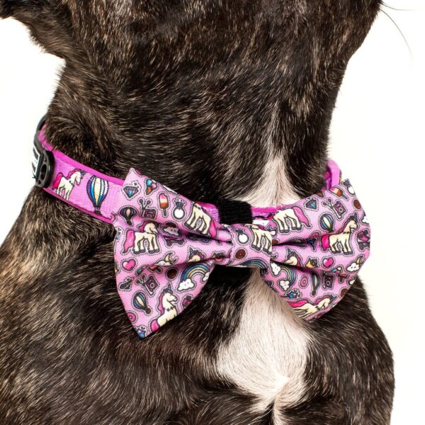Big & Little Dogs 'One of a Kind' Unicorn and Rainbow Print Dog Collar and Detachable Bow Tie