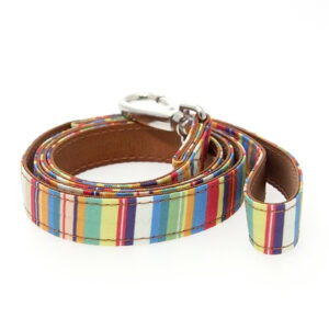 A smart striped dog lead by Urban Pup