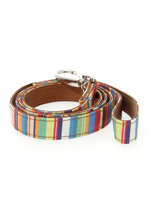 A smart striped dog lead by Urban Pup
