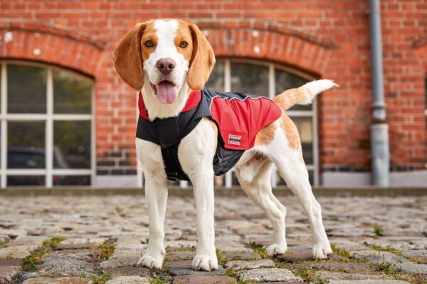 Wolters Red and Black Lightweight Dog Rain Jacket