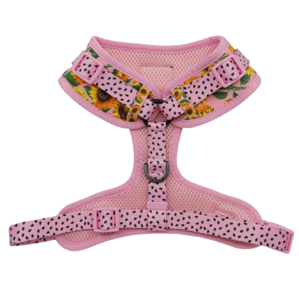 Big & Little Dogs 'You Are My Sunshine' sunflower print adjustable pink dog harness