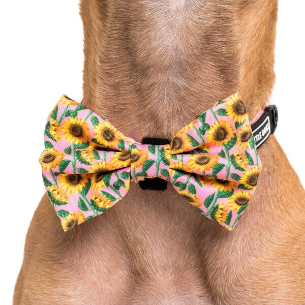 Big & Little Dogs 'You Are My Sunshine' sunflower print pink dog collar and detachable bow tie