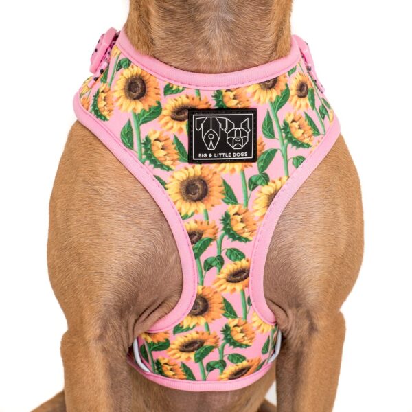 Big & Little Dogs 'You Are My Sunshine' sunflower print adjustable pink dog harness