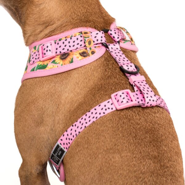 Big & Little Dogs 'You Are My Sunshine' sunflower print adjustable pink dog harness