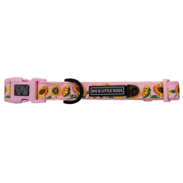 Big & Little Dogs 'You Are My Sunshine' sunflower print pink dog collar and detachable bow tie