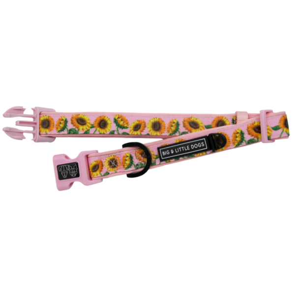 Big & Little Dogs 'You Are My Sunshine' sunflower print pink dog collar and detachable bow tie
