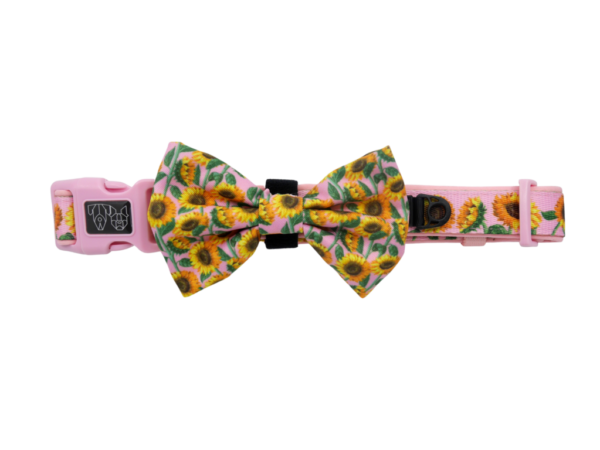 Big & Little Dogs 'You Are My Sunshine' sunflower print pink dog collar and detachable bow tie