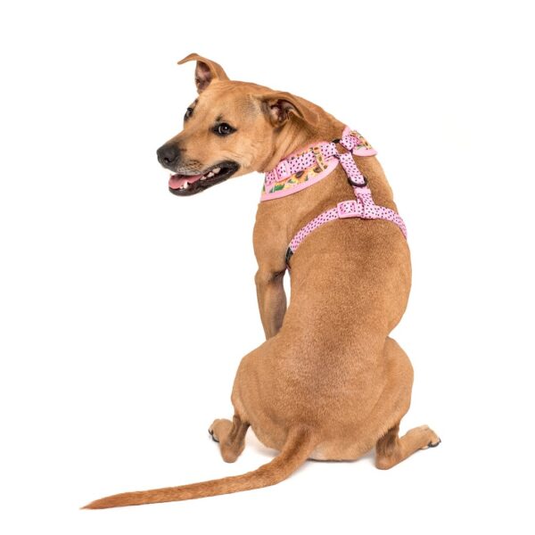 Staffy dog wearing a Big & Little Dogs 'You Are My Sunshine' sunflower print adjustable pink dog harness