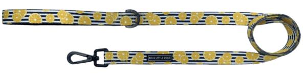 Lemon print design 'You're The Zest' Dog Lead by Big & Little Dogs
