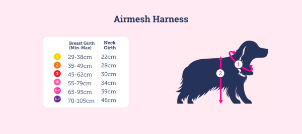 Doodlebone Airmesh Dog Harness Size Guide