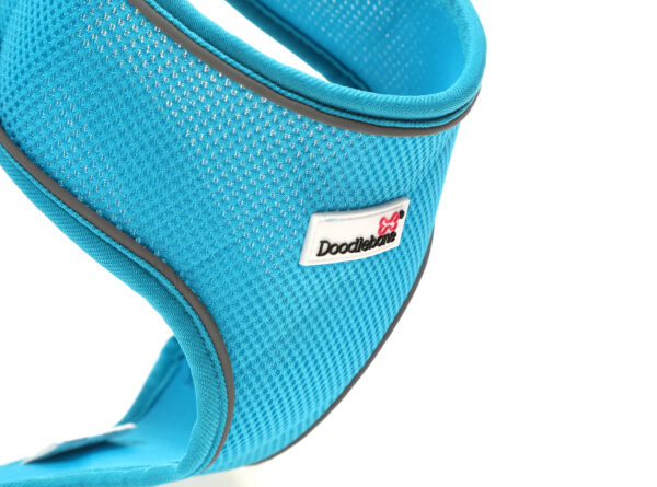 Doodlebone Aqua Blue Airmesh Dog Harness at The Lancashire Dog Company