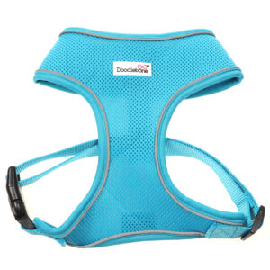Doodlebone Aqua Blue Airmesh Dog Harness at The Lancashire Dog Company