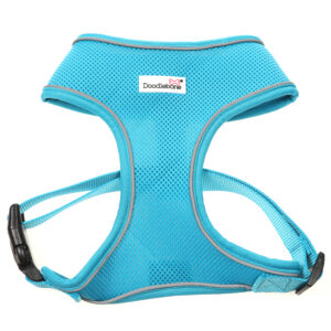 Doodlebone Aqua Blue Airmesh Dog Harness