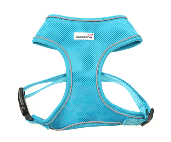 Doodlebone Aqua Blue Airmesh Dog Harness at The Lancashire Dog Company