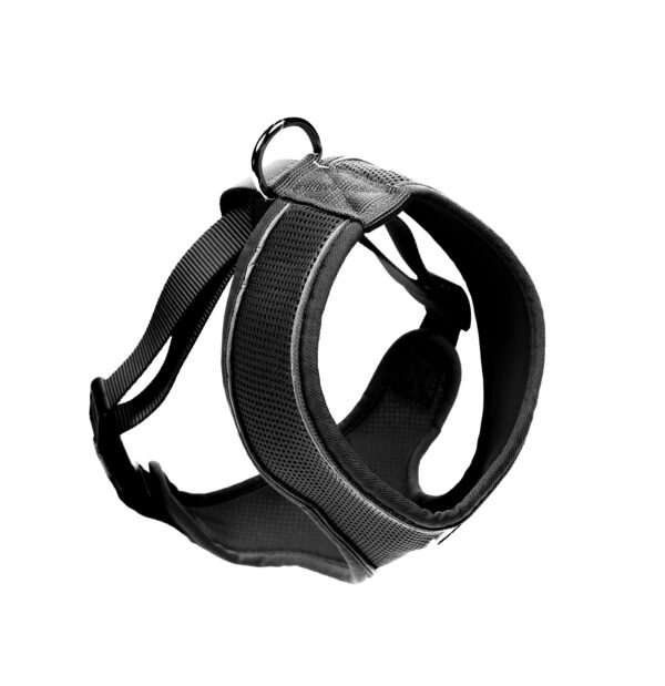 Doodlebone Black Airmesh Dog Harness