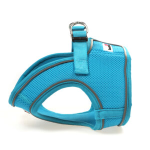 Doodlebone Aqua Blue Step In Snappy Dog Harness