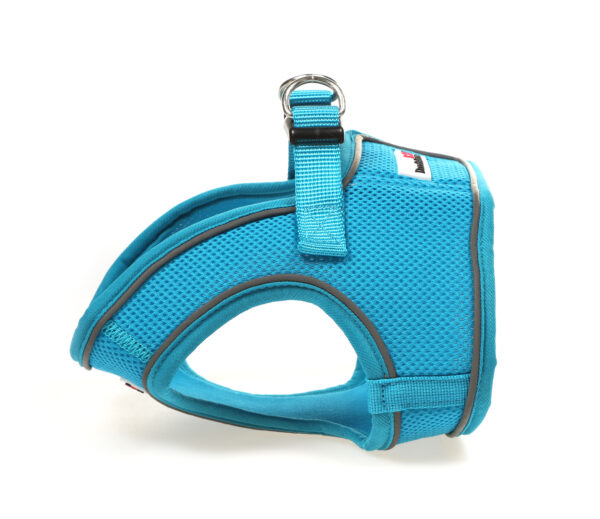 Doodlebone Aqua Blue Step In Snappy Dog Harness