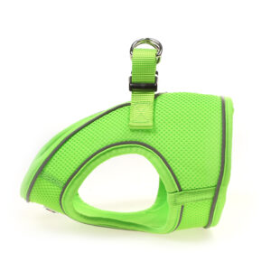 Doodlebone Apple Green Snappy Step In Dog Harness