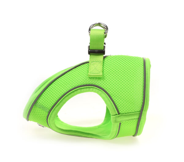 Doodlebone Apple Green Snappy Step In Dog Harness