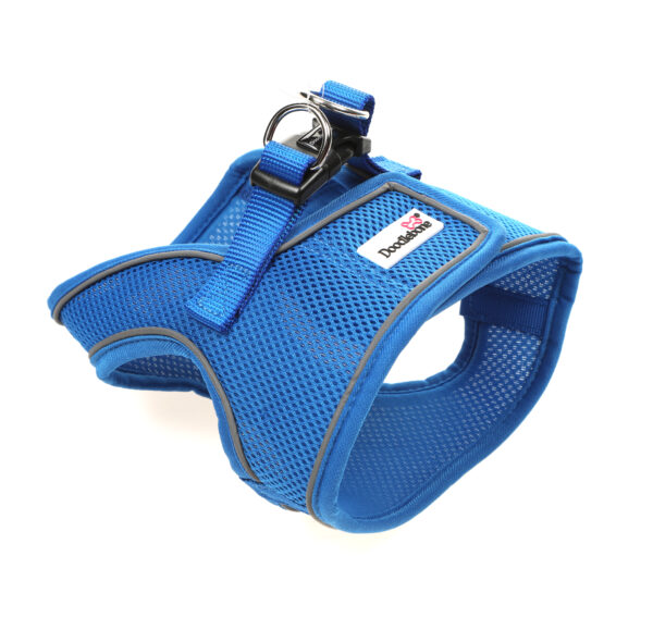 Doodlebone Royal Blue Snappy Step In Dog Harness