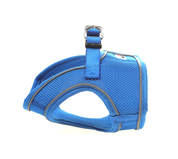 Doodlebone Royal Blue Snappy Step In Dog Harness